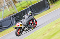 Oulton-Park-14th-March-2020;PJ-Motorsport-Photography-2020;anglesey;brands-hatch;cadwell-park;croft;donington-park;enduro-digital-images;event-digital-images;eventdigitalimages;mallory;no-limits;oulton-park;peter-wileman-photography;racing-digital-images;silverstone;snetterton;trackday-digital-images;trackday-photos;vmcc-banbury-run;welsh-2-day-enduro